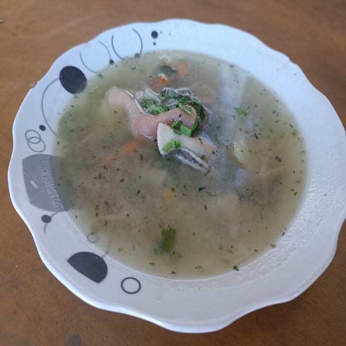 template by DevCRID http://www.devcrud.com/